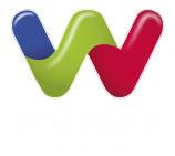 WiiPlan Sports WiiPlan Sports